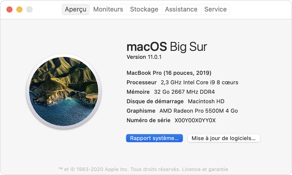 macos-big-sur-mac-overview-system-report.jpeg